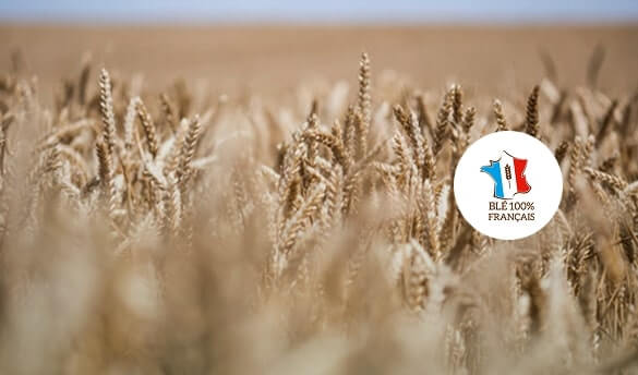Blé 100% français