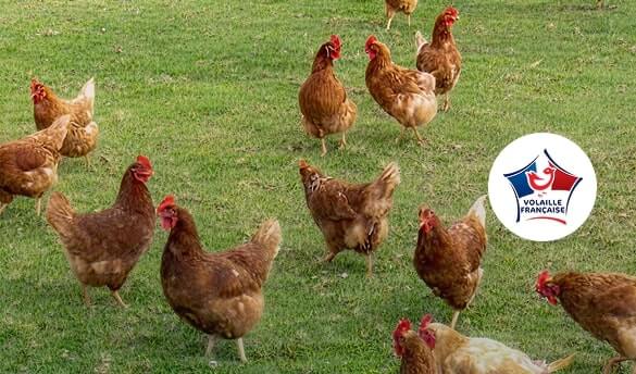Nos volailles françaises