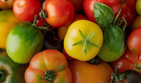 Nos Tomates 100% Italiennes